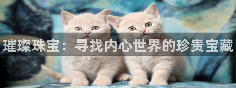 新宝5官网霸：璀璨珠宝：寻找内心世界的珍贵宝藏