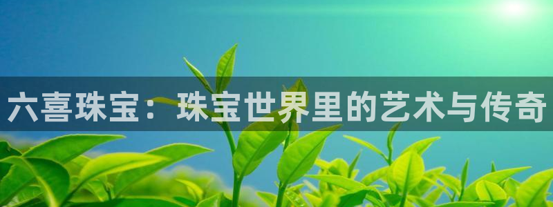 新宝5球维33 300：六喜珠宝：珠宝世界里的艺术与传奇