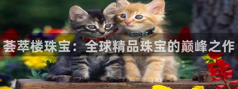 新5宝：荟萃楼珠宝：全球精品珠宝的巅峰之作