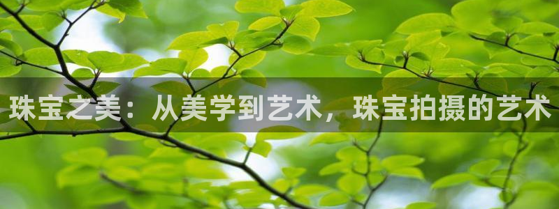 新宝5娱乐都：珠宝之美：从美学到艺术，珠宝拍摄的艺术