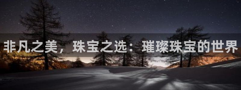 新宝5褚32OO59：非凡之美，珠宝之选：璀璨珠宝的世界