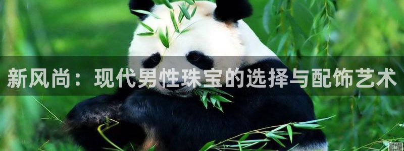 新宝5链接：新风尚：现代男性珠宝的选择与配饰艺术