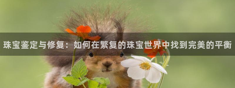 新宝5官网霸：珠宝鉴定与修复：如何在繁复的珠宝世界中找到完美的平衡