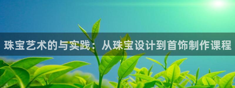 新宝5如何注册登录：珠宝艺术的与实践：从珠宝设计到首饰制作课程