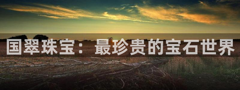 新宝5口67五壹叁八：国翠珠宝：最珍贵的宝石世界