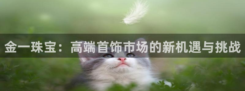 新宝5谠631257：金一珠宝：高端首饰市场的新机遇与挑战