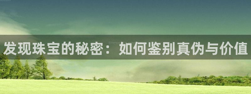 新宝6霸哥5：发现珠宝的秘密：如何鉴别真伪与价值