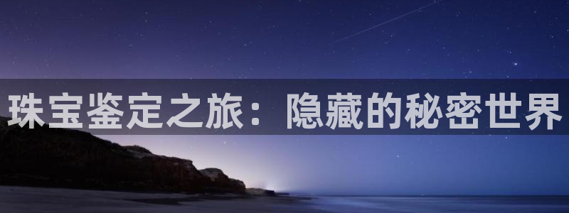 新宝股东张听2 5 5：珠宝鉴定之旅：隐藏的秘密世界