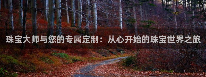 新宝5台卡：珠宝大师与您的专属定制：从心开始的珠宝世界之旅