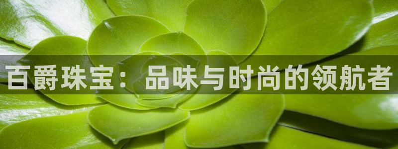 有人知道新宝5么：百爵珠宝：品味与时尚的领航者