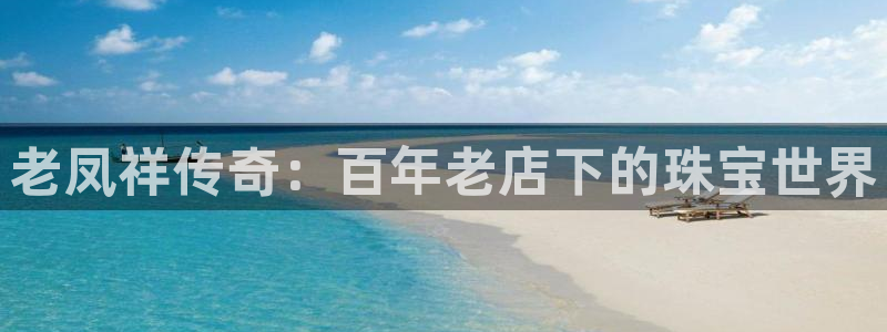 新宝5天：老凤祥传奇：百年老店下的珠宝世界