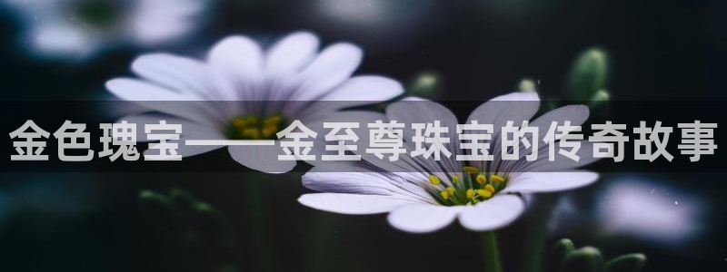 i新宝5：金色瑰宝——金至尊珠宝的传奇故事