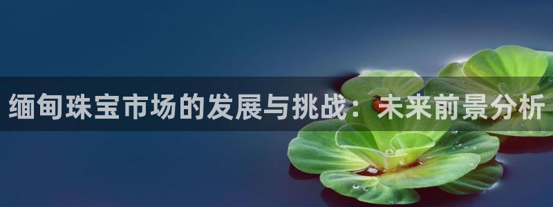 老新宝5授权登录：缅甸珠宝市场的发展与挑战：未来前景分析