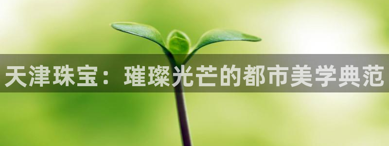 皇冠新宝5：天津珠宝：璀璨光芒的都市美学典范