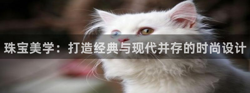 新宝rc_5w：珠宝美学：打造经典与现代并存的时尚设计