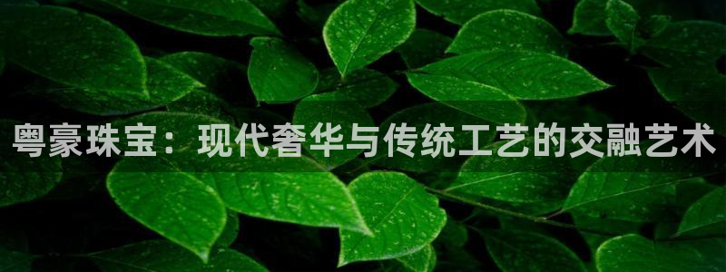 新宝5苹果手机下载：粤豪珠宝：现代奢华与传统工艺的交融艺术