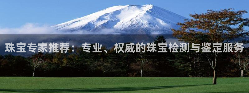 新宝5客户端登录：珠宝专家推荐：专业、权威的珠宝检测与鉴定服务