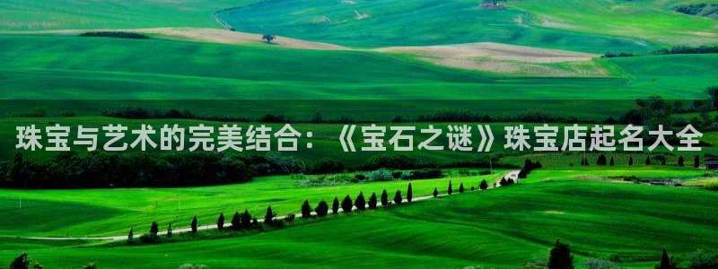 新宝5得74OOO5：珠宝与艺术的完美结合：《宝石之谜》珠宝店起名大全