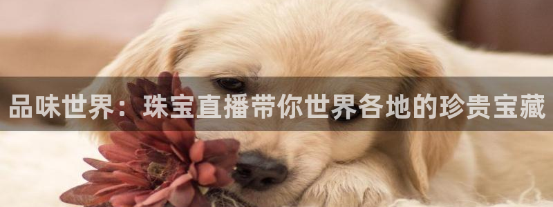 新宝5娱乐方：品味世界：珠宝直播带你世界各地的珍贵宝藏