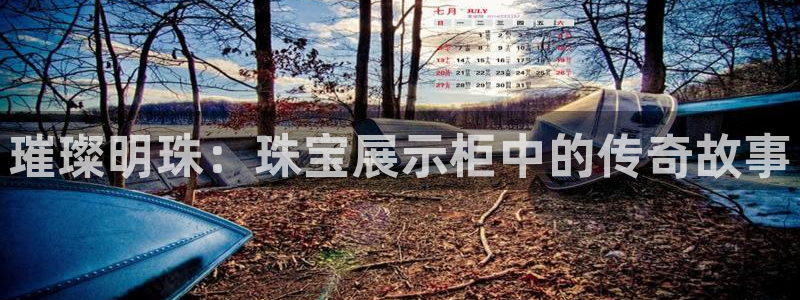 新宝5找找74OOO5：璀璨明珠：珠宝展示柜中的传奇故事