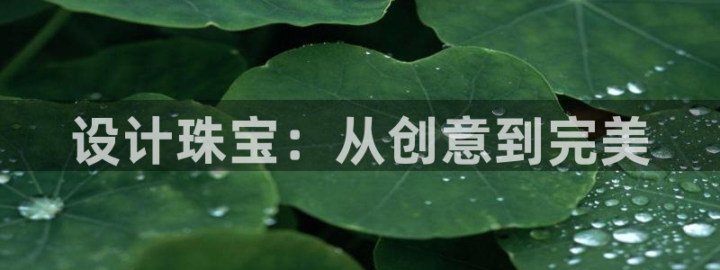 新宝5手机平台登陆：设计珠宝：从创意到完美