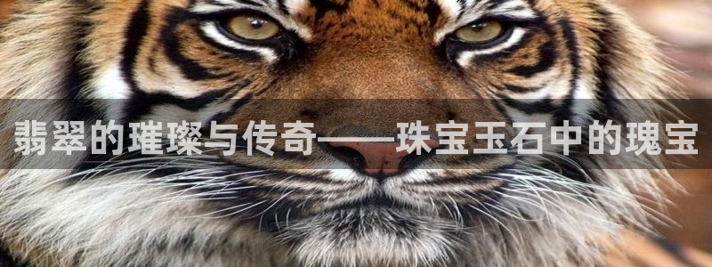 新宝股东张听2 5 5：翡翠的璀璨与传奇——珠宝玉石中的瑰宝