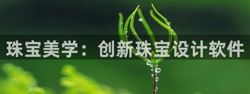 新宝5测速线路：珠宝美学：创新珠宝设计软件