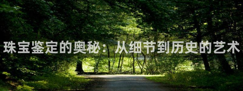 新宝5总代：珠宝鉴定的奥秘：从细节到历史的艺术
