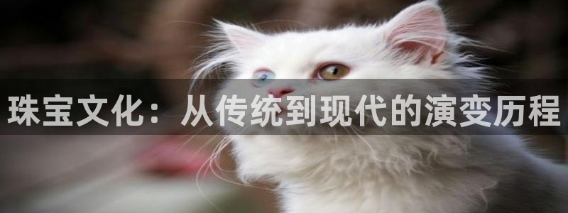 新宝5黑彩：珠宝文化：从传统到现代的演变历程