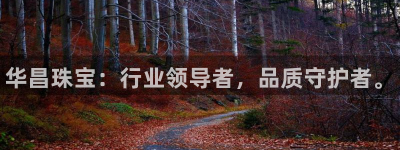 新宝5登录不了：华昌珠宝：行业领导者，品质守护者。