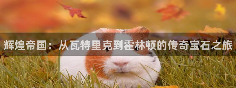 新宝5网站：辉煌帝国：从瓦特里克到霍林顿的传奇宝石之旅